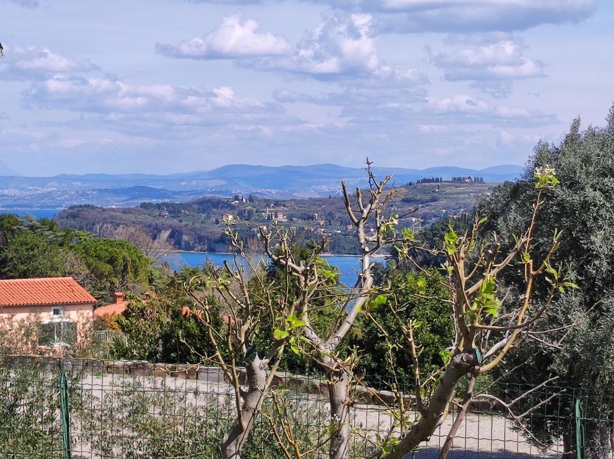 Apartma Sonja 2 Piran Luaran gambar